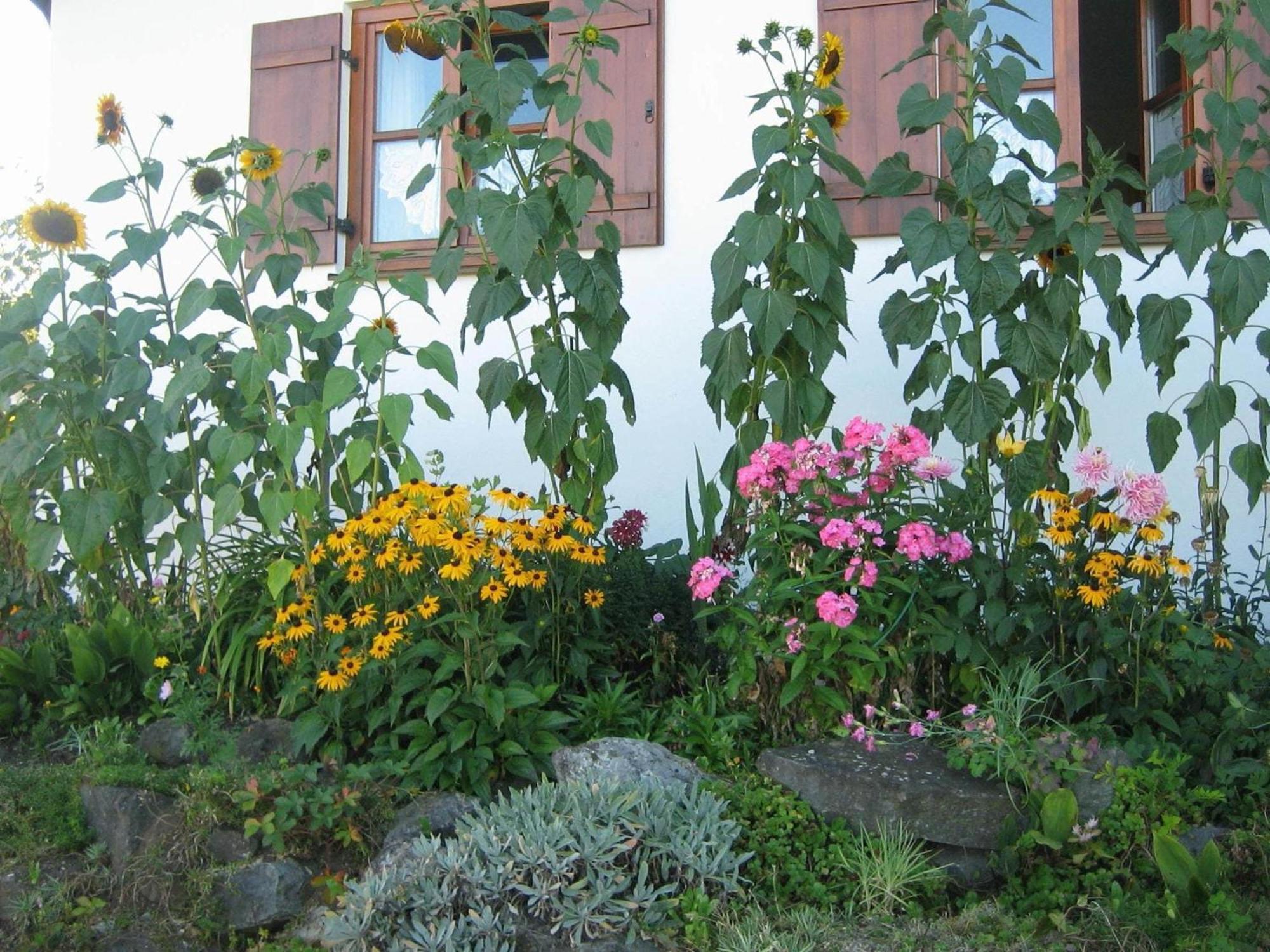 Apartment In The Allg U With View Of The Bavarian Alps Bernbeuren Kültér fotó
